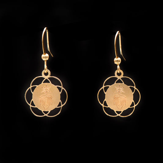 פרח החיים: חכמת המעגליות